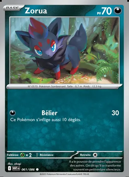 Zorua, carte Pokémon WHT 061 — extension Flamme Blanche