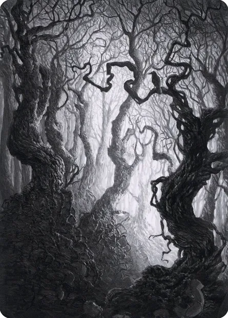 Forest // Forest, carte Magic AMID 80 — extension Midnight Hunt Art Series