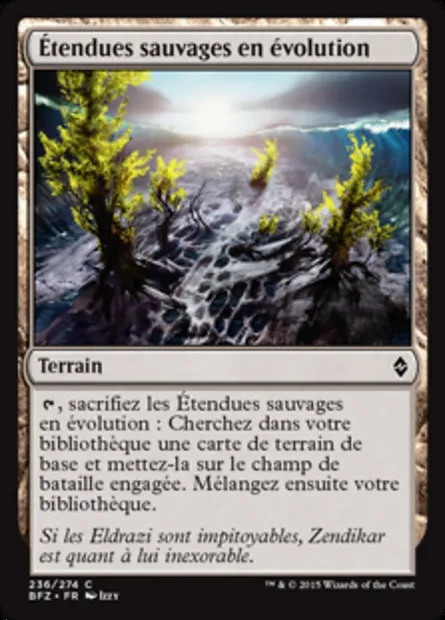 Étendues sauvages en évolution, carte Magic BFZ 236 — extension La bataille de Zendikar