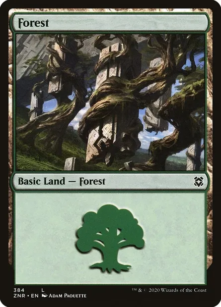 Forest, Magic card ZNR 384 — Zendikar Rising set