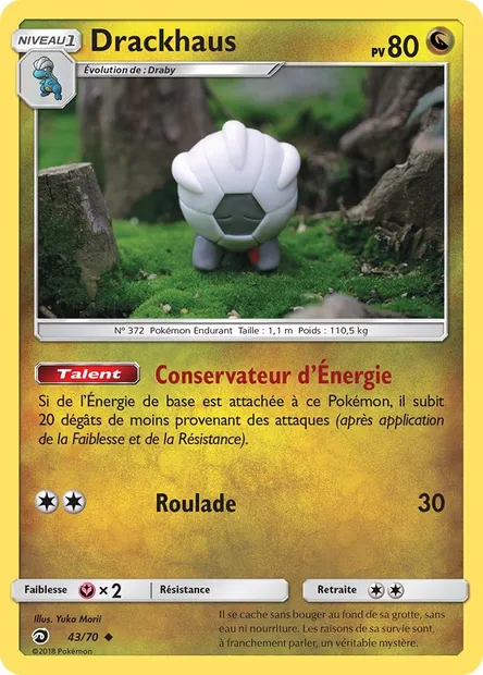 Drackhaus, carte Pokémon DRM 43 — extension Majesté Des Dragons