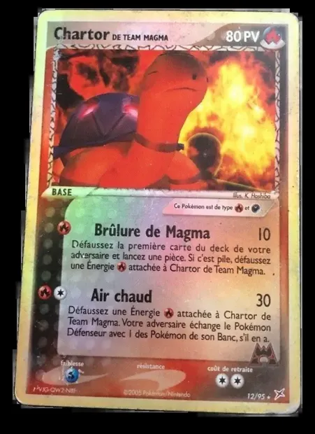 Chartor de Team Magma, carte Pokémon MA 12 — extension EX Team Magma vs Team Aqua