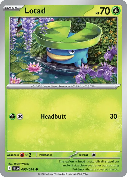 Lotad, Pokémon card PFL 005 — Phantasmal Flames set