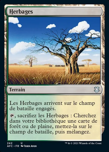 Herbages, carte Magic AFC 242 — extension Forgotten Realms Commander