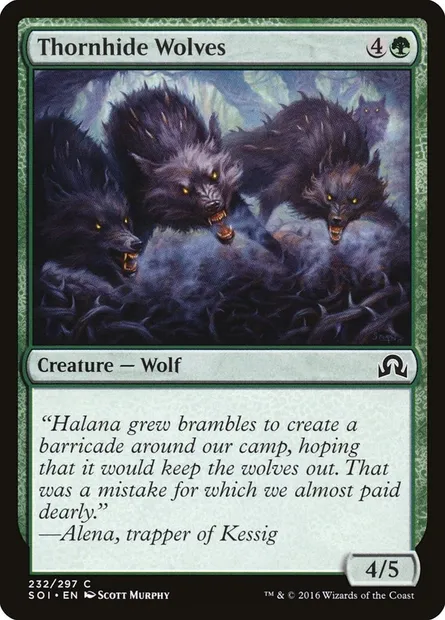 Thornhide Wolves, Magic card SOI 232 — Shadows over Innistrad set