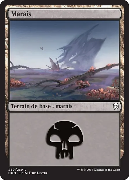 Marais, carte Magic DOM 259 — extension Dominaria