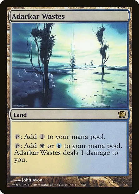 Adarkar Wastes, Magic card 9ED 317★ — Ninth Edition set