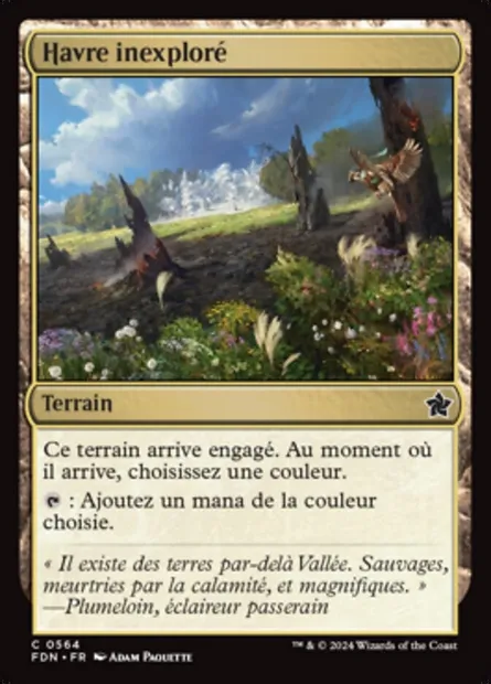 Havre inexploré, carte Magic FDN 564 — extension Foundations