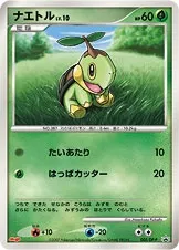 Turtwig Lv.10, carte Pokémon DPP 005 — extension DP Promos