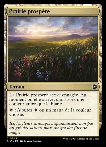 Prairie prospère, carte Magic BLC 348 — extension Bloomburrow Commander