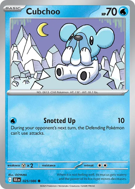 Cubchoo, Pokémon card BLK 025 — Black Bolt set