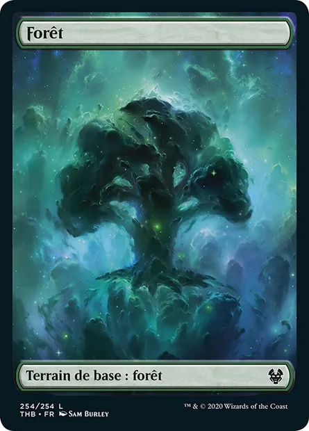 Forêt, carte Magic THB 254 — extension Theros Beyond Death