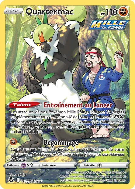 Quartermac, carte Pokémon SIT TG08 — extension Tempête Argentée