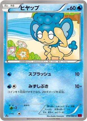 Panpour, Pokémon card XY1B 019 — Collection Y set