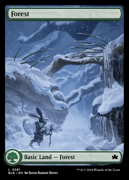 Forest, Magic card BLB 281 — Bloomburrow set