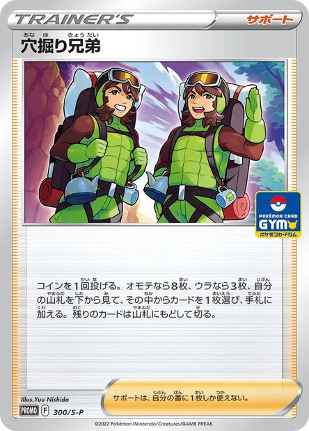 Trou Brothers, carte Pokémon S-P 300 — extension S-P: Sword & Shield Promos
