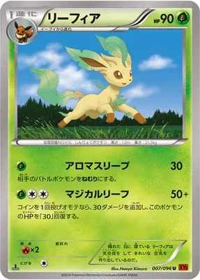 Phyllali, carte Pokémon XY3 007 — extension Rising Fist