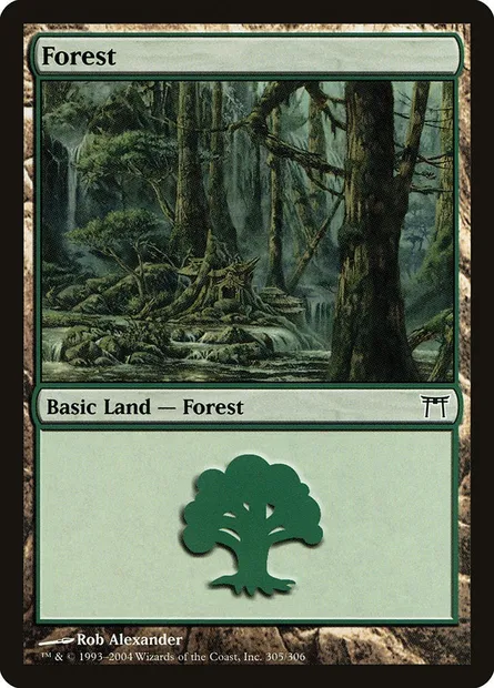 Forest, Magic card CHK 305 — Champions of Kamigawa set