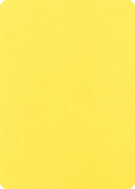 Blank Filler Card, Pokémon card ERR ct374817 — Pokémon Misprints set