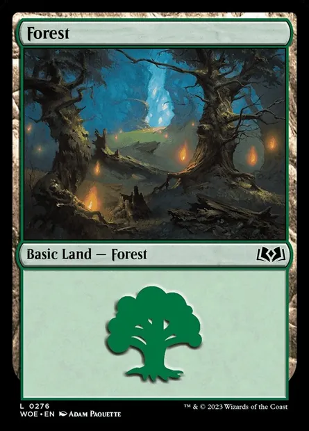 Forest, Magic card WOE 276 — Wilds of Eldraine set