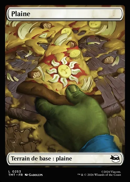 Plaine, carte Magic TMT 253 — extension Teenage Mutant Ninja Turtles