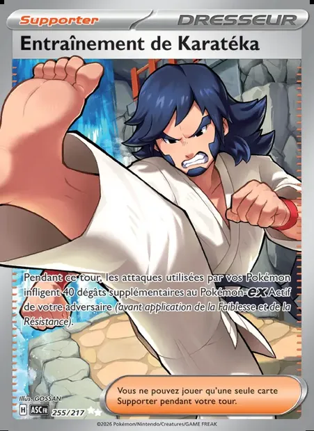 Entraînement de Karatéka, carte Pokémon ASC 255 — extension Héros Transcendants