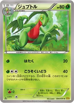 Massko, carte Pokémon XY5A 004 — extension Gaia Volcano