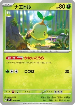 Tortipouss, carte Pokémon MC 034 — extension Start Deck 100 Battle Collection