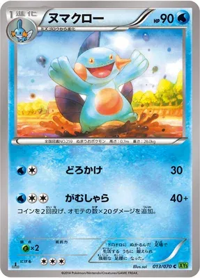Flobio, carte Pokémon XY5B 013 — extension Tidal Storm