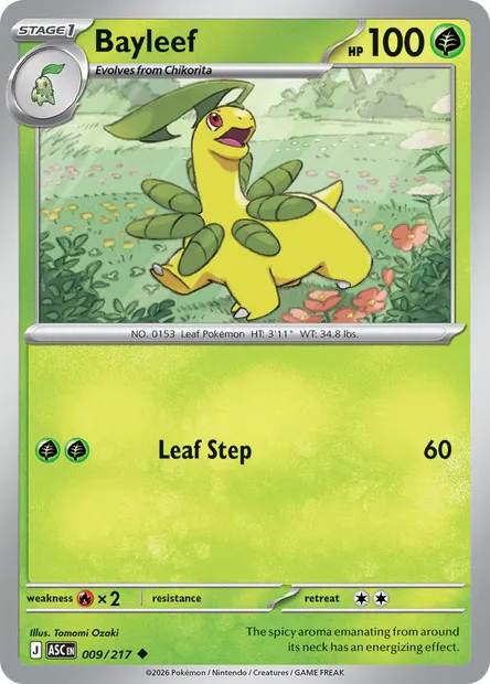 Bayleef, Pokémon card ASC 009 — Ascended Heroes set