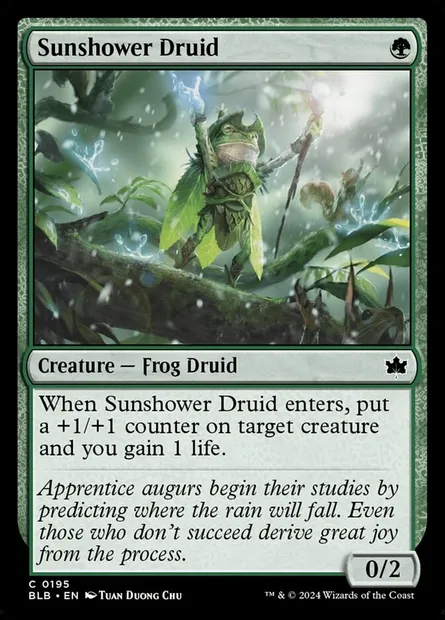 Sunshower Druid, Magic card BLB 195 — Bloomburrow set