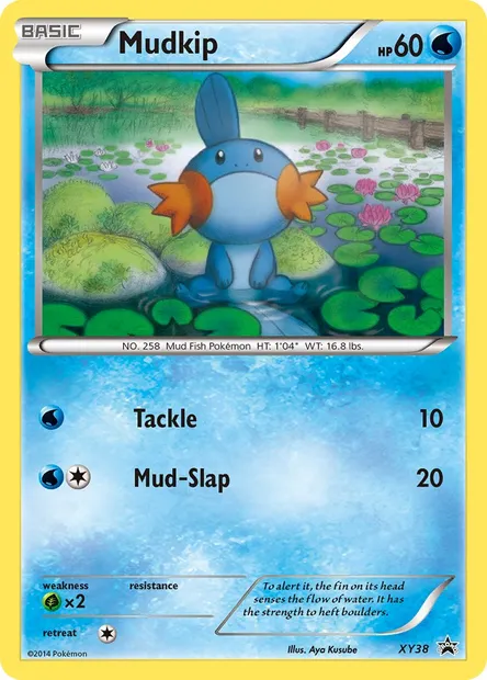 Mudkip, Pokémon card XY 38 — XY Black Star Promos set