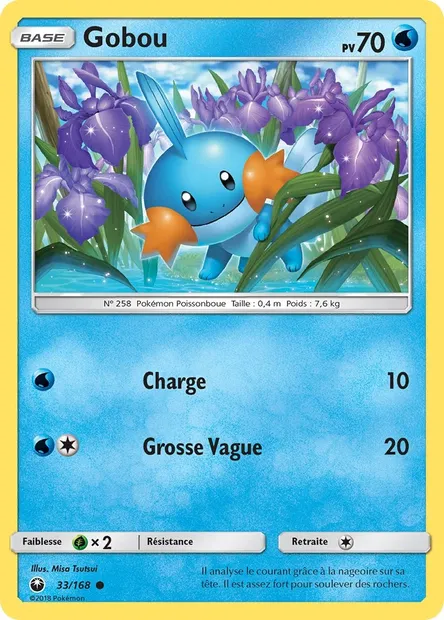 Gobou, carte Pokémon CES 33 — extension Tempête Céleste
