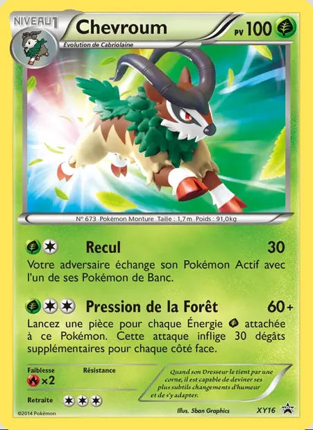 Chevroum, carte Pokémon XY 16 — extension Promo XY