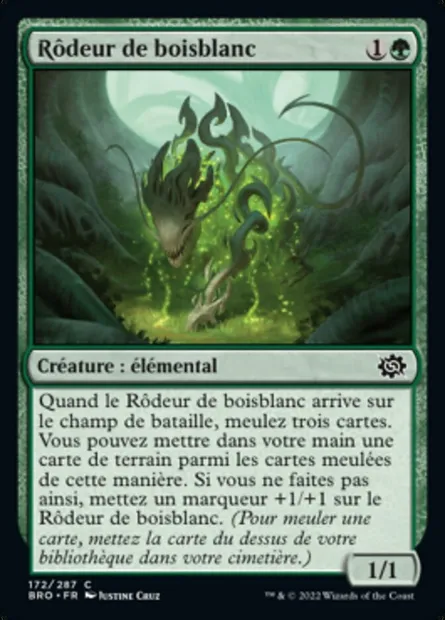Rôdeur de boisblanc, carte Magic BRO 172 — extension La Guerre Fratricide