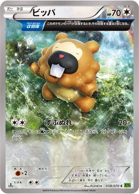 Bidoof, Pokémon card XY5B 058 — Tidal Storm set