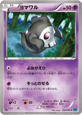 Duskull, Pokémon card XY2 033 — Wild Blaze set