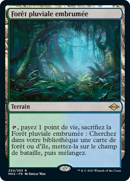 Forêt pluviale embrumée, carte Magic MH2 250 — extension Horizons du Modern 2