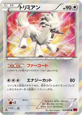Furfrou, Pokémon card XY1B 053 — Collection Y set