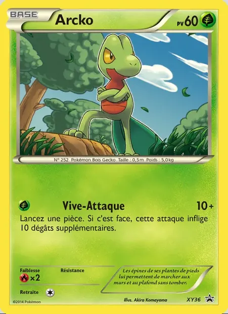 Arcko, carte Pokémon XY 36 — extension Promo XY