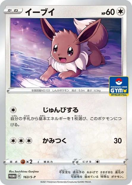 Évoli, carte Pokémon S-P 163 — extension S-P: Sword & Shield Promos