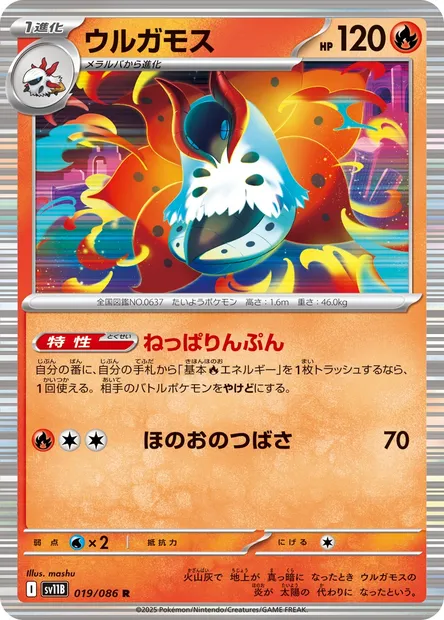 Pyrax, carte Pokémon SV11B 019 — extension Black Bolt