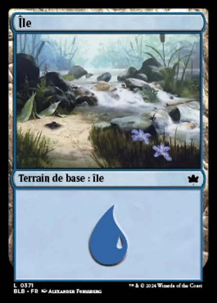 Île, carte Magic BLB 371 — extension Bloomburrow