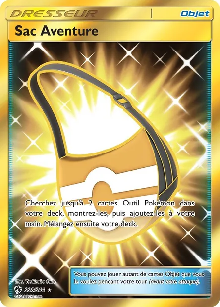 Sac Aventure, carte Pokémon LOT 228 — extension Tonnerre Perdu