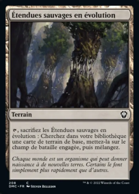 Étendues sauvages en évolution, carte Magic DMC 208 — extension Dominaria United Commander