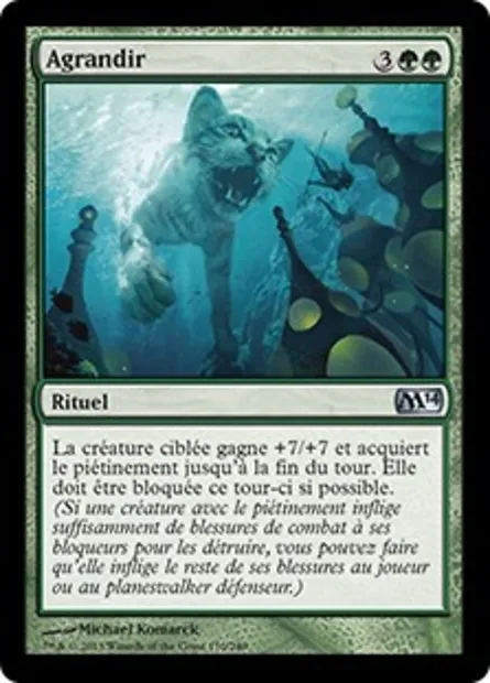 Agrandir, carte Magic M14 170 — extension Magic 2014