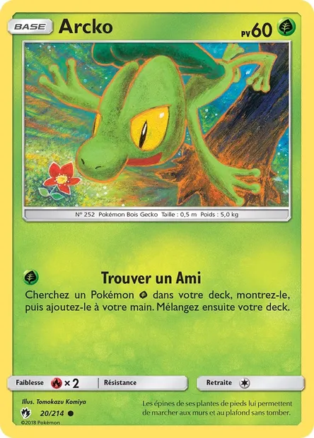 Arcko, carte Pokémon LOT 20 — extension Tonnerre Perdu