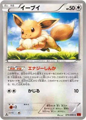 Eevee, Pokémon card XY3 075 — Rising Fist set