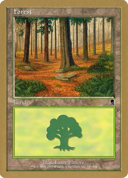 Forest, Magic card WC02 rl347 — World Championship Decks 2002 set