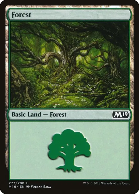 Forest, Magic card M19 277 — Core Set 2019 set